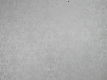 Cam for laurenshannons