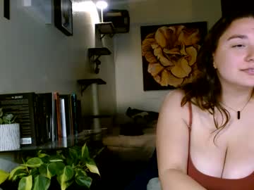 Cam for littlerowbo