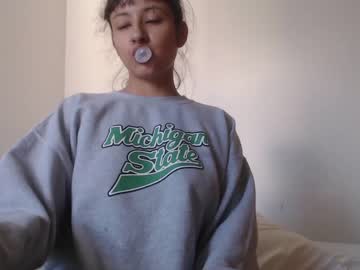Cam for vandalovee